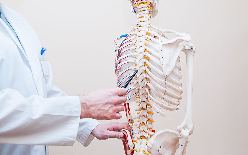 Dolor de Columna